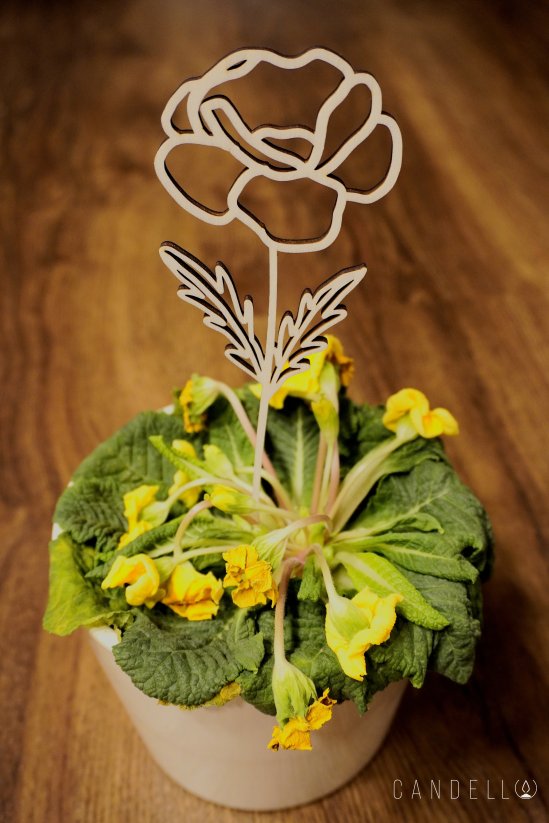 Gravírované květiny - Druh: Valentýna