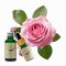Bulgarian Rose
