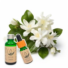 Egyptian Jasmine